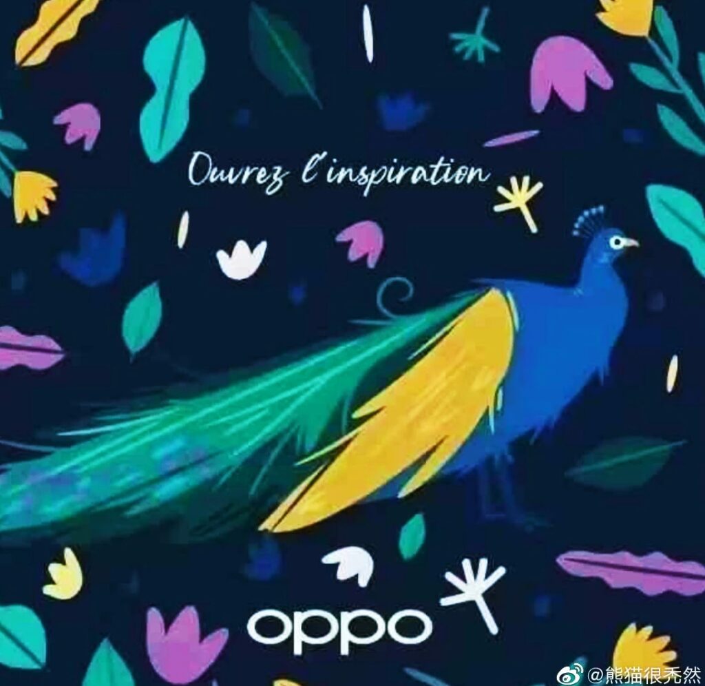 oppo peacock foldable phone