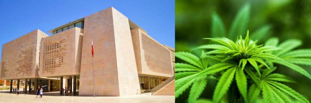 malta legalise cannabis