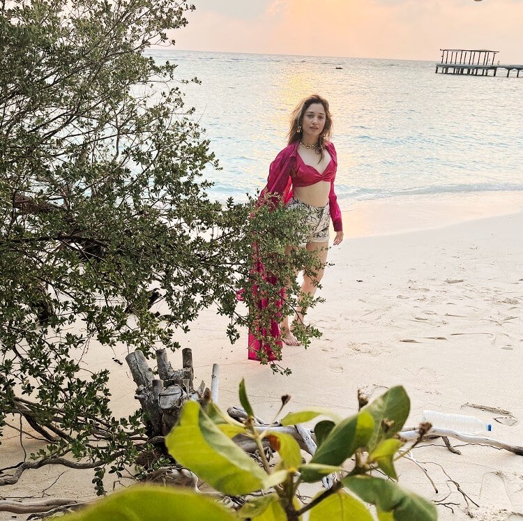 tamannaah bhatia pink bikini maldives beach
