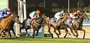 Dubai Horse Racing