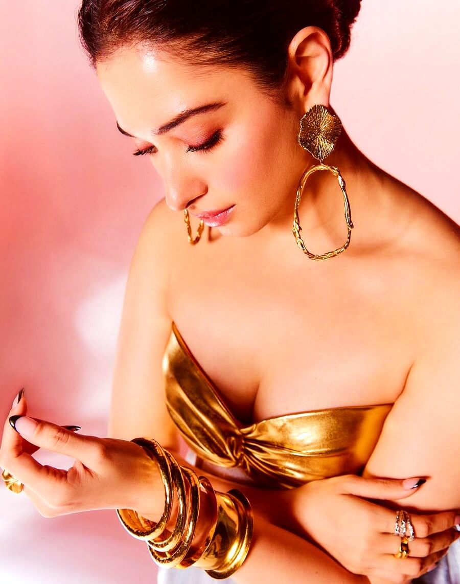 tamanna bhatia big boobs showing in latest low cut gown